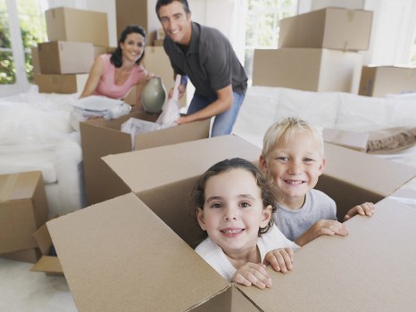 Business and household storage support for space management